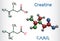 Creatine molecule, food supplements. Structural chemical formula and molecule model