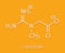 Creatine molecule. Often used in food supplements. Skeletal formula.