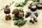 Creating acorn chestnut figures bug deer and horse in autumn time. childhood tinker