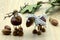 Creating acorn chestnut figures like horse and deer in autumn time. childhood tinker