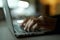 Creating process. Close up shot of hands of young guy typing, working on laptop, sitting at the table late at night