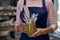 Creating process. Craft woman working in her workshop. Close up shot of female hands holding ceramic bowl full of