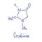 Creatinine chemical structure. Vector illustration Hand drawn.