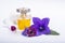 Creation of perfume essence, summer flowers sweet light fragrance, perfume bottle and colorful aromatic flowers isolated