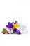 Creation of perfume essence, summer flowers sweet light fragrance, perfume bottle and colorful aromatic flowers isolated