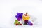 Creation of perfume essence, summer flowers sweet light fragrance, perfume bottle and colorful aromatic flowers isolated