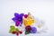 Creation of perfume essence, summer flowers sweet light fragrance, perfume bottle and colorful aromatic flowers isolated