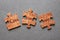 Creationism Jigsaw Mismatched