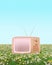 Creative 3D Illustration concept of pastel retro pink television on a grassy meadow. Alternative vintage environment