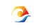 Creative Abstarct Colorful Hexagon Wabe Sea Logo