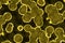 creative amazing yellow huge amount of biological unicellulars digital drawn background texture illustration