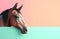 Creative animal concept. Brown horse peeking over pastel bright background.Generative AI