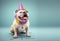 Creative animal concept. bulldog dog in party cone hat necklace bowtie outfit isolated on solid pastel background Generative AI