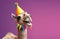 Creative animal concept. camel in party cone hat necklace bowtie outfit isolated on solid pastel background Generative AI