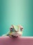 Creative animal concept. Chameleon reptile peeking over pastel bright background. Generative AI