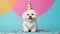 Creative animal concept. Cute little Maltipoo puppy wearing a cone party hat looking at the camera on a solid pastel background