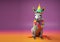 Creative animal concept. donkey in party cone hat necklace bowtie outfit isolated on solid pastel background Generative AI