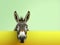 Creative animal concept. Donkey peeking over pastel bright background.Generative AI