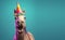 Creative animal concept. horse in party cone hat necklace bowtie outfit isolated on solid pastel background Generative AI