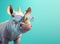 Creative animal concept. Rhinoceros rhino in sunglass shade glasses isolated on pastel background. copy space text Generative AI