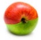 Creative apple