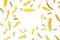 Creative arrangement of yellow autumn leaves on white background