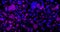 Creative art splatter background, black purple and blue splatter, paintbrush splatter abstract