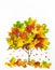 Creative autumn concept. Tree shape made with autumn leaves on white background.  Flat lay