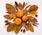 Creative autumn herbarium of walnut leaves and pumpkins