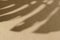 Creative background of tropical plant shadow on paper