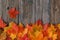 Creative background woth maple leaves