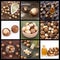 Creative collage of macadamia nuts images - Macadamia integrifolia