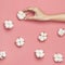 Creative composition with cotton. Hands of young woman holding white cotton flowers on pink background. Top view flat lay copy