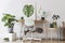 Creative composition of home workspace interior design with mock up poster frame, table, plants in hipster designed pots.