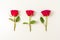 Creative composition of red rose flowers on white background. Minimal nature background. Spring flower concept