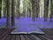 Creative concept pages of book Vibrant bluebell carpet Spring forest landscape