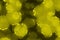 Creative cute yellow a lot bio micro organisms digital art background texture illustration