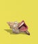 Creative design. Contemporary art collage. Sea shell with giant laughing female mouth isolated over yellow background