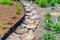 Creative design of wooden walkway made from a tree trunk cut into circles. Garden decoration