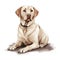 Creative and Detailed Cartoon Labrador in Watercolor Style,