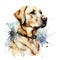 Creative and Detailed Cartoon Labrador in Watercolor Style,