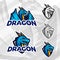 Creative dragon logo template. Sport mascot design. College league insignia, Asian beast sign, Dragons illustration