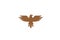 Creative Eagle Bird Logo Design Vector Symbol Illustration