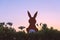 Creative easter photo of silhouette paper rabbit in the chamomile flowers and green grass on the sunset sky background.