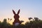 Creative easter photo of silhouette paper rabbit in the chamomile flowers and green grass on the sunset sky background.