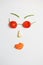 Creative face in tomato sunglasses made of healthy ripe vegetables