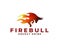 creative fire bull logo