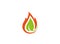 Creative Fire Leaf Logo