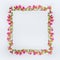 Creative floral design frame layout with pink and green exotic flowers on white background