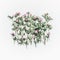 Creative floral layout made of wild flowers on white background. Flat lay, top view, copy space.
